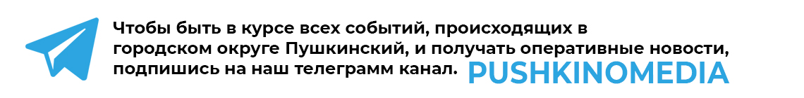 Телеграмм канал Пушкино ТВ