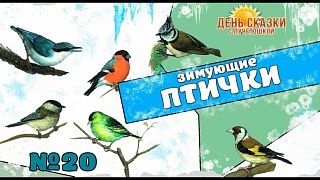 День сказки с Лучетошкой. Юбилейный выпуск №20. Птички