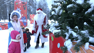 В рамках губернаторского проекта «Зима в Подмосковье» стартовала праздничная программа «Новый год под шубой»