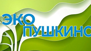 «ЭкоПушкино». Выпуск №20. Как экологично встретить Новый год? Экономные советы