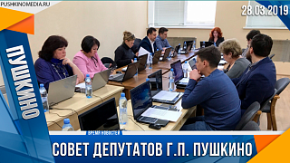 28.03.19Совет депутатов г п Пушкино