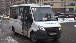 Удобнее для жителей. В Пушкинском скорректировали автобусные маршруты