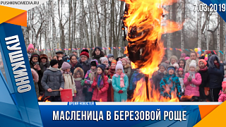 Масленица в Березовой роще