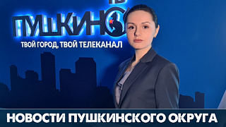 Новости Пушкинского округа 4.12.20 (58)