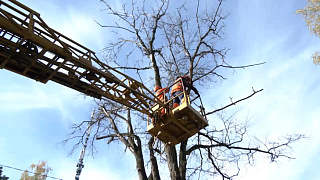 Масштабный субботник прошёл в округе Пушкинский! 