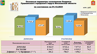 Порядка 7 миллиардов составили расходы Городского округа Пушкинский в этом году