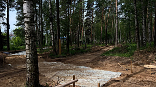 Как проходит благоустройство лесопарка «Банный лес» в Красноармейске? 