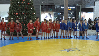 Всероссийский день самбо в округе Пушкинский отметили турниром