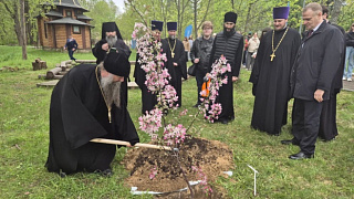 «За честь и за СВОих». В РГУТИС высалили 12 яблонь в рамках патриотической акции 