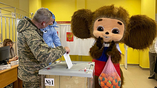 В Пушкино первых избирателей встречает добрый Чебурашка
