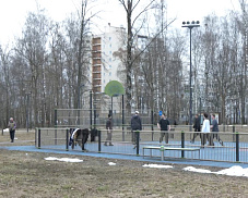 Ивантеевский парк – пространство, куда устремляются все жители округа