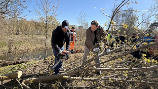 В округе Пушкинский прошёл общеобластной субботник