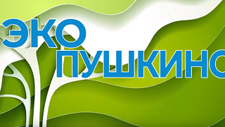 «ЭкоПушкино». Выпуск №5. «Экоперезагрузка» от многодетных