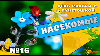 День сказки с Лучетошкой. Выпуск №16. Насекомые.