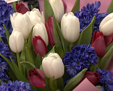 В преддверии самого красивого праздника флористы уже готовят цветочные прилавки