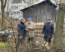 Отработали заявку жителя. В Тарасовке спилили сухостойное дерево