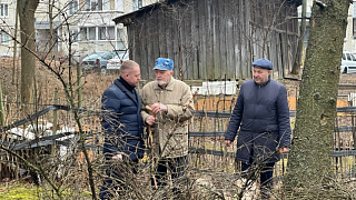 Отработали заявку жителя. В Тарасовке спилили сухостойное дерево