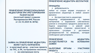 ПРИВЛЕЧЕНИЕ ПРОФЕССИОНАЛЬНЫХ МЕДИАТОРОВ ПРИ УРЕГУЛИРОВАНИИ РАЗНОГЛАСИЙ