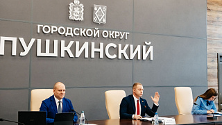 Депутаты Пушкинского во время заседания Совета обсудили вопросы, связанные с муниципальной собственностью