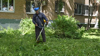 В Пушкино прошёл общегородской субботник
