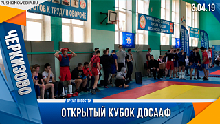 Открытый кубок ДОСААФ